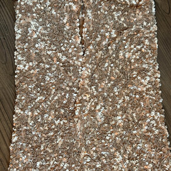 JLUXLABEL Taupe Nude Cream Sequin Midi Skirt - Small - Picture 12 of 14